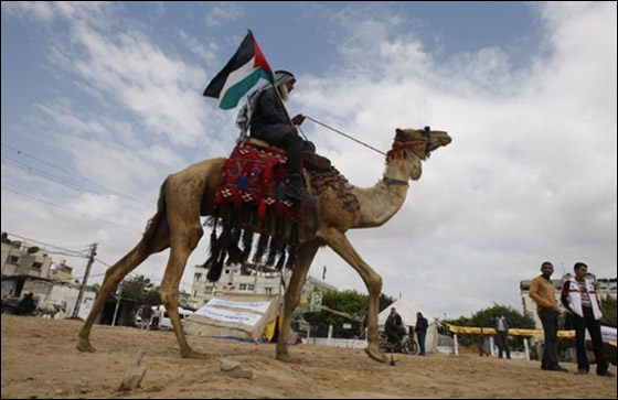 العودة حق فلسطيني.. والملتقى مارون الراس يوم الأحد  صورة رقم 38