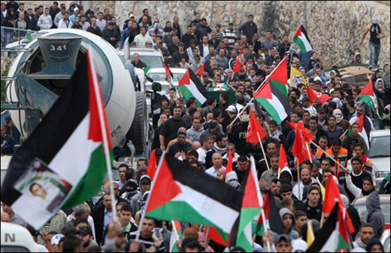 فلسطينيون يدشنون انتفاضة ثالثة ومصر تعزل سيناء لمنع يوم الزحف صورة رقم 11