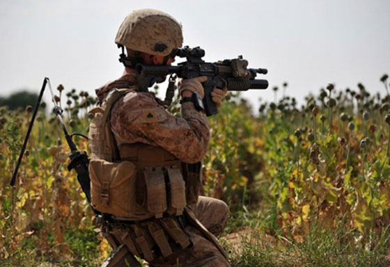 16 جنديا بريطانيا فقدوا أطرافا خلال القتال في افغانستان   صورة رقم 8