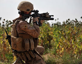 16 جنديا بريطانيا فقدوا أطرافا خلال القتال في افغانستان   صورة رقم 1