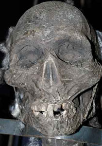 الارجنتين: مصادرة مومياء وثلاث جماجم ارسلت من بوليفيا في طرد! صورة رقم 1 الارجنتين: مصادرة مومياء وثلاث جماجم ارسلت من بوليفيا في طرد! صورة رقم 1