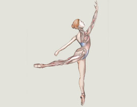 لأول مرة جائزة مفعال هبايس على أسم لنداو صورة رقم 1