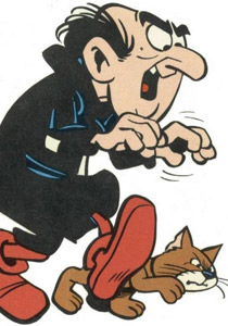 كاتب فرنسي: 