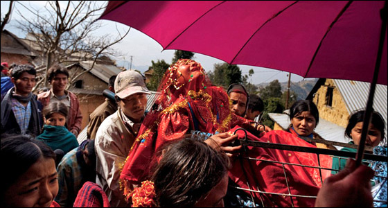 مقلق: 12 مليون 