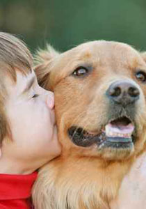 الكلب اغلى صديق للانسان.. وعضة منه تكلف 26 الف دولار! صورة رقم 1