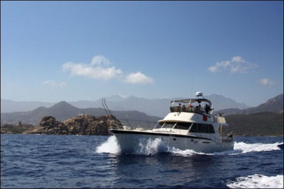 اسرائيل ستتصدى لاسطول الحرية وتحذر الصحفيين من عقوبات  صورة رقم 2