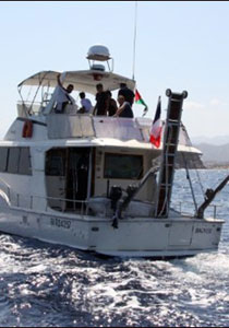 اسرائيل ستتصدى لاسطول الحرية وتحذر الصحفيين من عقوبات  صورة رقم 1