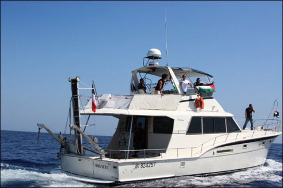 اسرائيل ستتصدى لاسطول الحرية وتحذر الصحفيين من عقوبات  صورة رقم 6