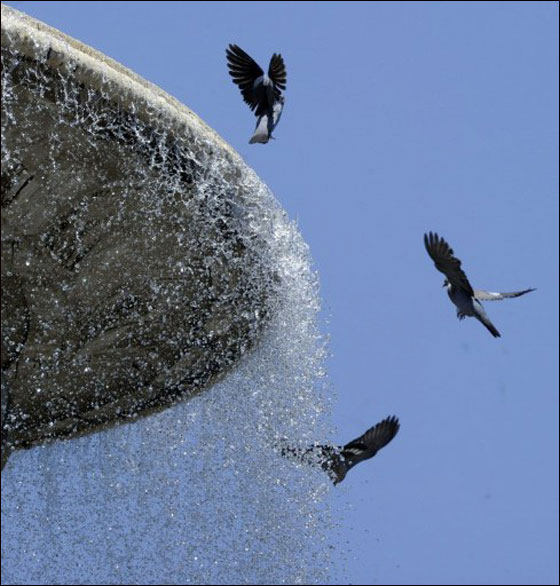 بالصور: الحر الشديد اكثر قسوة من البرد القارس في دول اوروبا!  صورة رقم 3