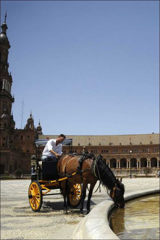 بالصور: الحر الشديد اكثر قسوة من البرد القارس في دول اوروبا!  صورة رقم 39