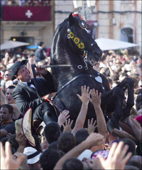 في استعراض مميز.. خيول اسبانيا تحتفل بيوم يوحنا المعمدان  صورة رقم 1