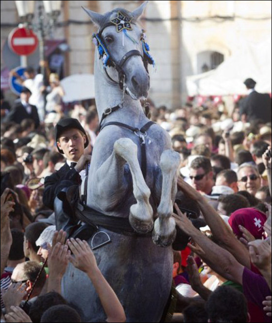 في استعراض مميز.. خيول اسبانيا تحتفل بيوم يوحنا المعمدان  صورة رقم 6