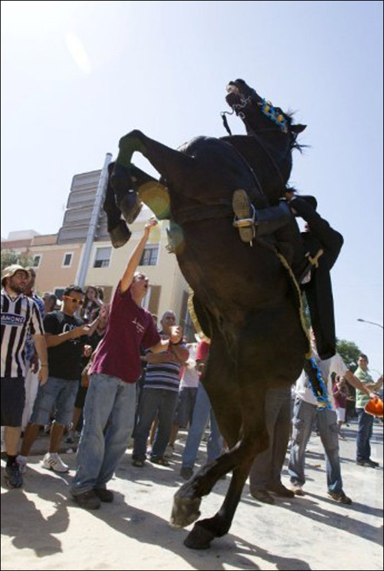 في استعراض مميز.. خيول اسبانيا تحتفل بيوم يوحنا المعمدان  صورة رقم 4