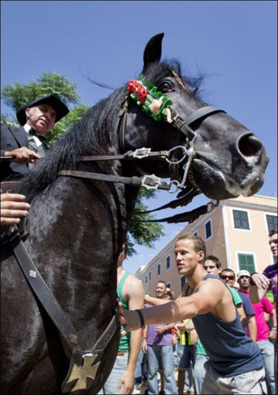 في استعراض مميز.. خيول اسبانيا تحتفل بيوم يوحنا المعمدان  صورة رقم 12