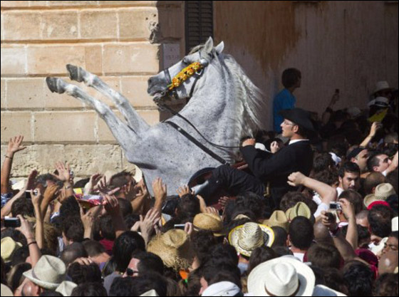 في استعراض مميز.. خيول اسبانيا تحتفل بيوم يوحنا المعمدان  صورة رقم 3
