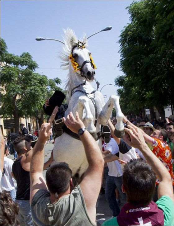 في استعراض مميز.. خيول اسبانيا تحتفل بيوم يوحنا المعمدان  صورة رقم 10