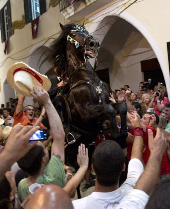 في استعراض مميز.. خيول اسبانيا تحتفل بيوم يوحنا المعمدان  صورة رقم 18