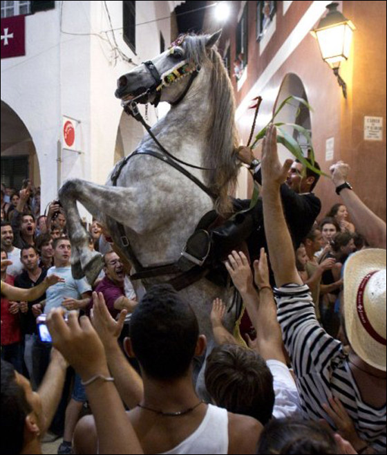 في استعراض مميز.. خيول اسبانيا تحتفل بيوم يوحنا المعمدان  صورة رقم 17