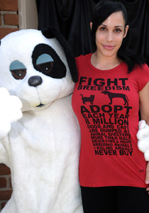 ناديا سليمان: أطفالي الكبار الستة أصبحوا كالحيوانات!!  صورة رقم 1