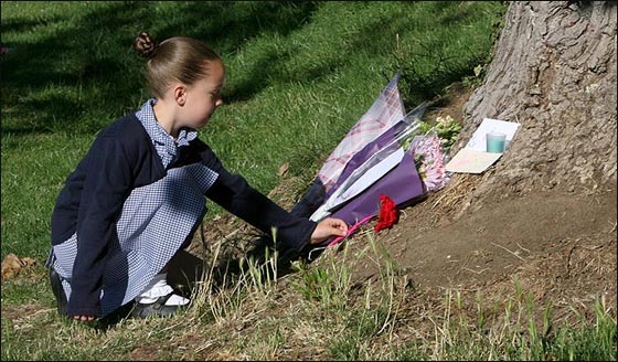 مصرع مراهقة في ساحة مدرستها بعدما سقط عليها جذع شجرة!  صورة رقم 5