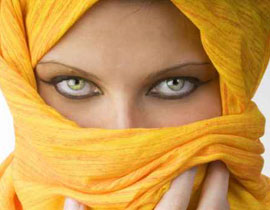 السجن لمدة عام وغرامة 5500 دولار لكل محجبة ترفض الكشف عن وجهها! صورة رقم 1