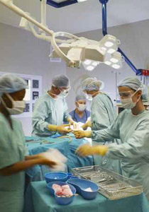 يتنازل عن كليته لإنقاذ حياة والدته المصابة بفشل كلوي! صورة رقم 1