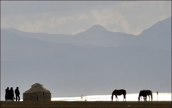 بالصور: مهرجان قيرغيزستان التقليدي.. حضارة وثقافة مميزة صورة رقم 17