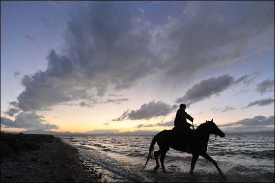 بالصور: مهرجان قيرغيزستان التقليدي.. حضارة وثقافة مميزة صورة رقم 22