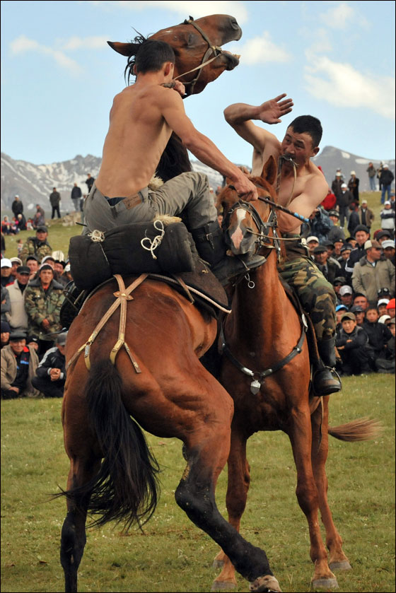 بالصور: مهرجان قيرغيزستان التقليدي.. حضارة وثقافة مميزة صورة رقم 10
