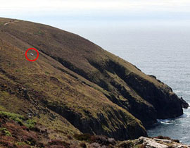 امضت 20 ساعة في سيارتها المترنحة على حافة منحدر ونجت!! صورة رقم 1