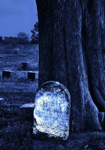 الجزائر: خمور ورذيلة في القبور.. وعدم مراعاة حرمة الموتى! صورة رقم 1