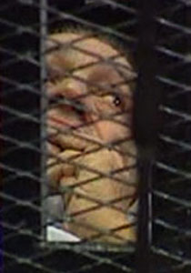 العالم العربي يترقب ظهور مبارك للمرة الثانية في قفص الاتهام صورة رقم 1