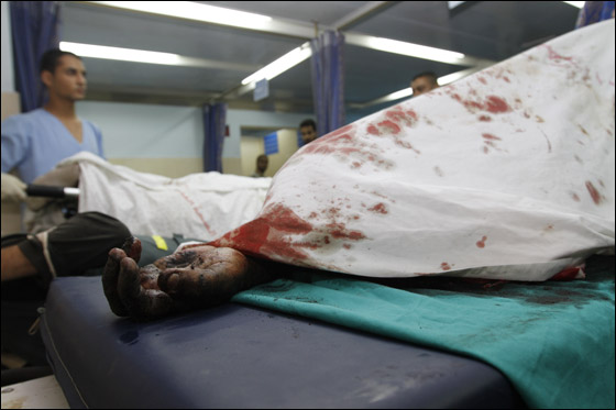 د. سلطان يفتي بجواز قتل كل اسرائيلي على أرض مصر!!     صورة رقم 9