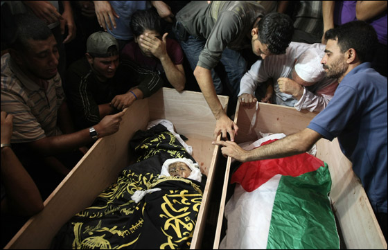 د. سلطان يفتي بجواز قتل كل اسرائيلي على أرض مصر!!     صورة رقم 10