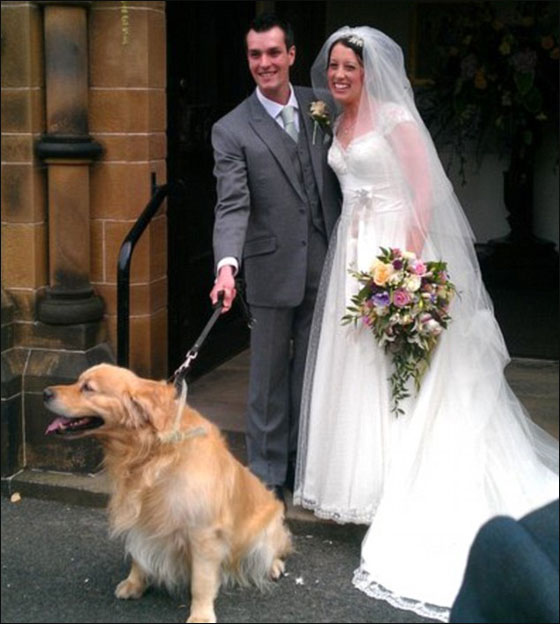 شهر عسل يتحول الى كابوس بعد هجوم قرش يودي بحياة الزوج  صورة رقم 6