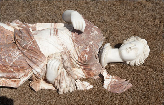 ثوار ليبيا يرتعون في منتجعات القذافي ابن الخيمة والبادية!!  صورة رقم 11