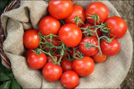 شاب يلقى حتفه على مائدة الافطار بسبب.. الطماطم!! صورة رقم 1