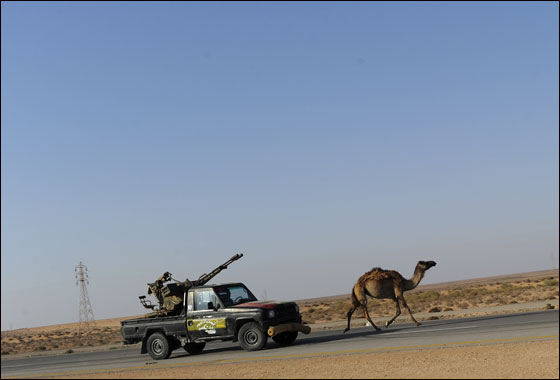 اشتباكات عنيفة وقتلى وجرحى بين الثوار والكتائب في سرت  صورة رقم 9