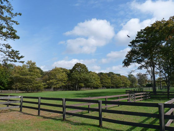 اوباما يبيع بيته الصيفي مقابل 23.7 مليون دولار فقط!  صورة رقم 8