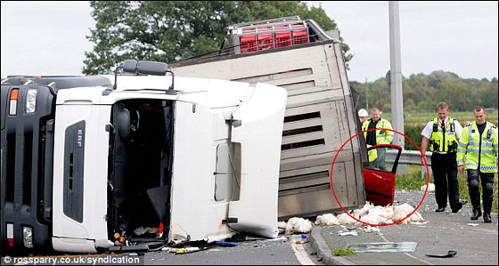 ام وابنتها تنجوان باعجوبة بعد ان صدمتهما حافلة نقل محملة بالدجاج! صورة رقم 5