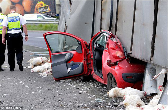 ام وابنتها تنجوان باعجوبة بعد ان صدمتهما حافلة نقل محملة بالدجاج! صورة رقم 4