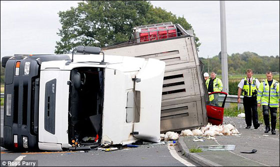 ام وابنتها تنجوان باعجوبة بعد ان صدمتهما حافلة نقل محملة بالدجاج! صورة رقم 2