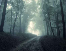 أول الغيث.. اليوم وغدا أمطار في الجليل والجولان  صورة رقم 1