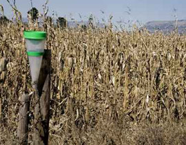 شيوخ السعودية: المعاصي وفعل الفواحش سبب انقطاع الغيث  صورة رقم 1