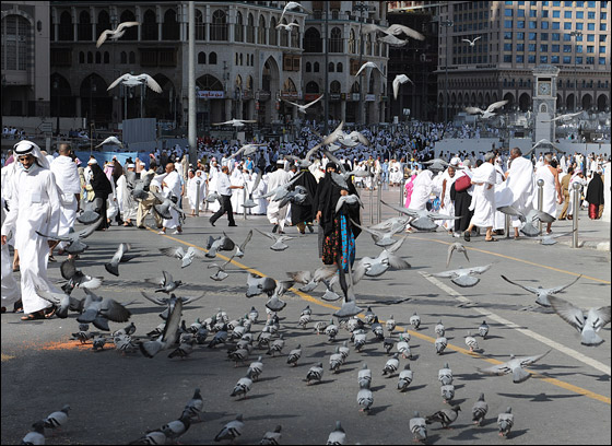 بالصور.. منّى تكتسي بحلة بيضاء مرحبةً بـ3 ملايين حاج!!  صورة رقم 14