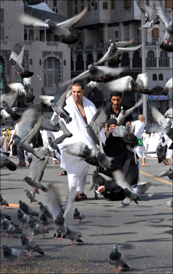 لبيك اللهم.. 4 ملايين حاج يقفون على صعيد عرفات غدا السبت  صورة رقم 9