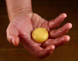 الاردن: طلاب يكسرون البيض للتهرب من الحصص! صورة رقم 1 الاردن: طلاب يكسرون البيض للتهرب من الحصص! صورة رقم 1