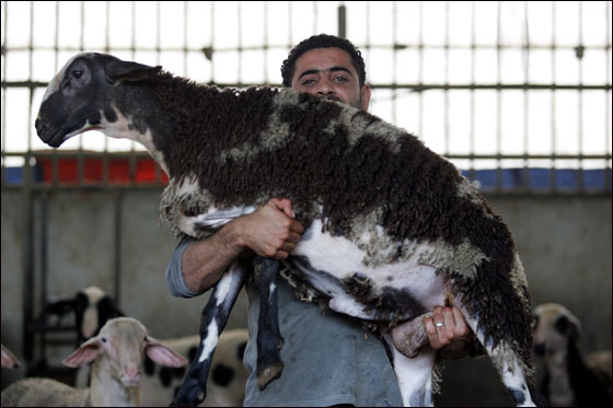 أكثر من ثلاثة ملايين حاج يقفون على عرفات اليوم  صورة رقم 28