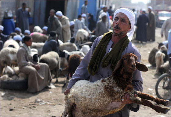 أكثر من ثلاثة ملايين حاج يقفون على عرفات اليوم  صورة رقم 29