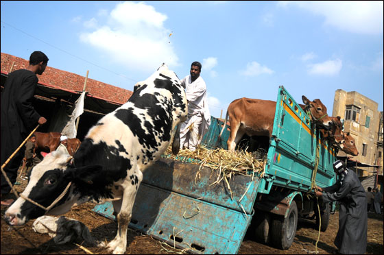 أكثر من ثلاثة ملايين حاج يقفون على عرفات اليوم  صورة رقم 27